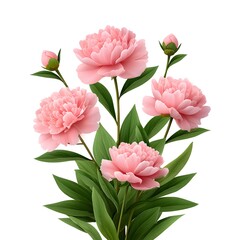 Obraz premium Elegant Pink Peonies Bouquet Blooming Flowers Beautiful Spring Floral Arrangement