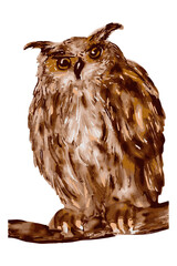 Watercolor Owl Illustration on White Background. Hand Painted Brown Owl Perched on Branch. Realistic Owl Artwork with Detailed Feathers. Wildlife Bird Drawing in Watercolor Style