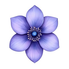Fototapeta premium Stunning Purple Flower Blossom Detailed Illustration Botanical Art