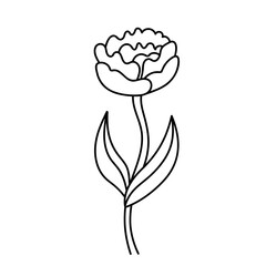 Doodle vector flower contour symbol isolated on a transparent background