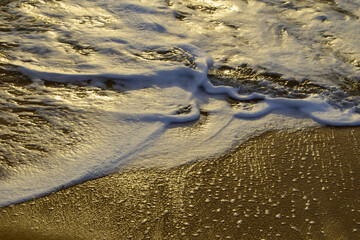 Gentle waves lap against warm beach sand along the Coral Sea coast north of Cairns—tropical serenity framed by soft light and timeless coastal rhythms.