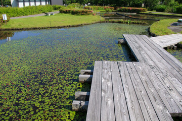 木場潟公園