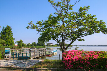 木場潟公園