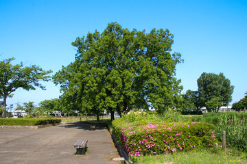 木場潟公園