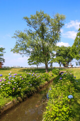 木場潟公園