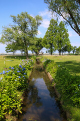 木場潟公園
