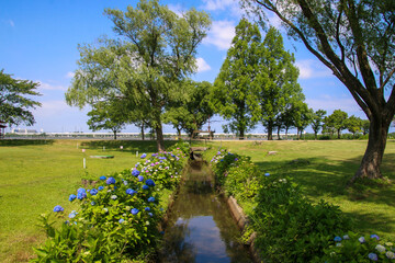 木場潟公園