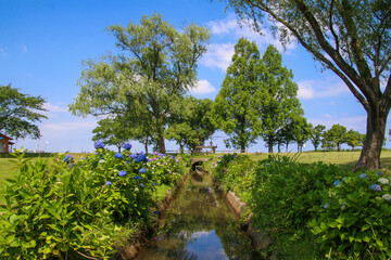 木場潟公園