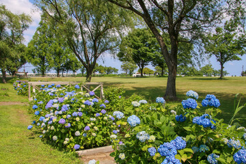 木場潟公園