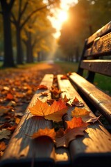 Golden Hour Autumn Leaves on Park Bench Peaceful Melancholy Landscape Photograph