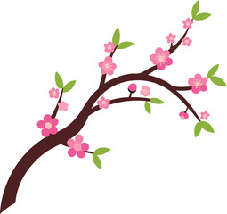 Branch of cherry blossoms arched vector with white background.