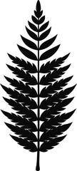 Naklejka premium Monochrome fern leaf pattern, silhouette with white background.