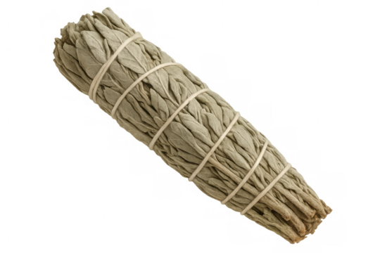 Dried white sage smudge stick isolated on transparent background, useful for spiritual practices and aromatherapy