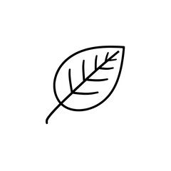 Exploring the Veins of Nature
