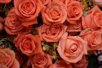 Fresh orange flowers for background