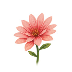 Obraz premium Delicate pink flower blossom isolated transparent background