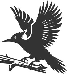 Woodpecker bird vector silhouette illustration