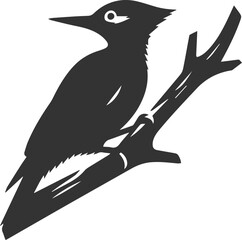 Woodpecker bird vector silhouette illustration