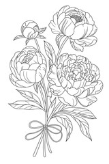 Peonies bouquet isolated on white background