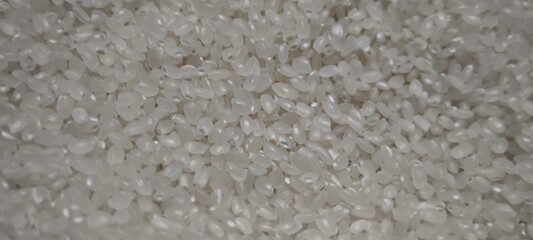 Close up of japanese rice. Japanese rice grains for background. Sushi Ingredients.