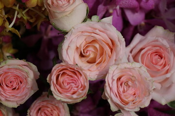 Fresh orange flowers for background