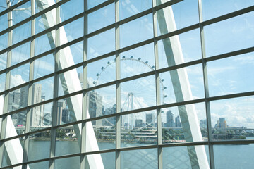 フラワードームから望むシンガポールフライヤー　Singapore Flyer from Flower Dome