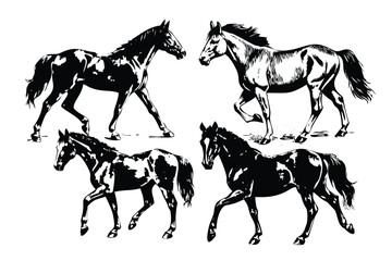 Horses & Ponies Vector Engraving Set. Detailed Monochrome Equestrian Illustrations. Vintage Stipple & Hatching Farm Style Icons & Symbols