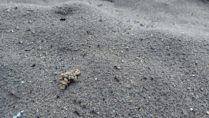 Earthworm castings or earthworm facies on black sand