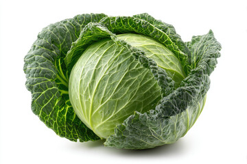 Fresh green cabbage with vibrant leaves isolated on white background, perfect for culinary use