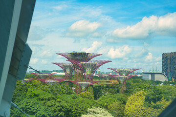 ガーデンズ・バイ・ザ・ベイ　シンガポール　Gardens by the Bay, Singapore
