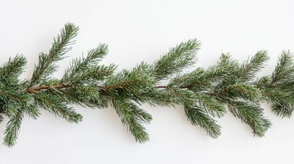 Festive Winter Pine Branch Garland.