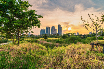 Benjakitti park in Bangkok city 