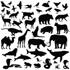Black silhouettes of various animals including birds mammals reptiles  sea creatures