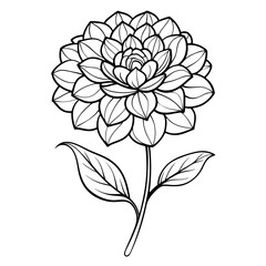 black and white background