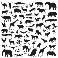 Silhouette compilation of diverse animals including mammals reptiles amphibians birds and insects
