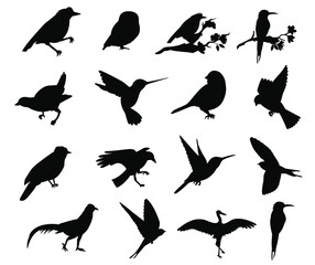 Black silhouette birds of varied types poses and perches on a white backdrop in a 4x4 grid layout