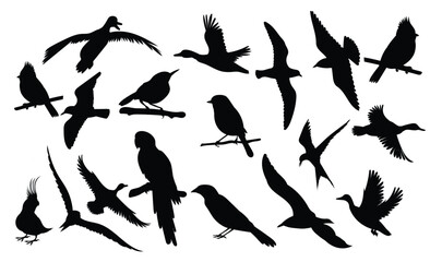 Black silhouettes of varied birds some perched others in flight against a white backdrop