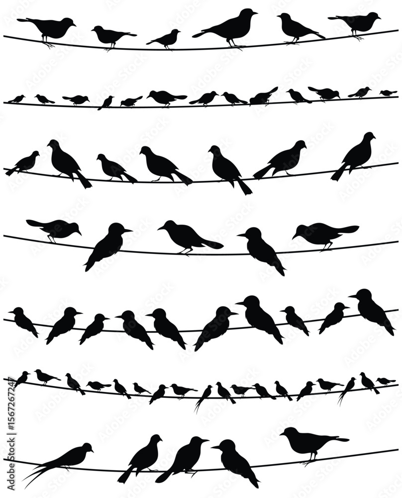 Poster rows of bird silhouettes perched on wires create a simple graphic pattern