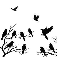 Silhouette of birds on branches some flying creating a stark contrast