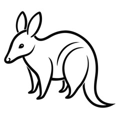 Aardvark on white background