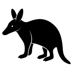Aardvark on white background
