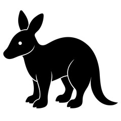 Aardvark on white background