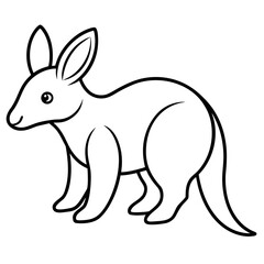 Aardvark on white background