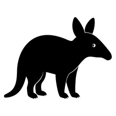 Aardvark on white background