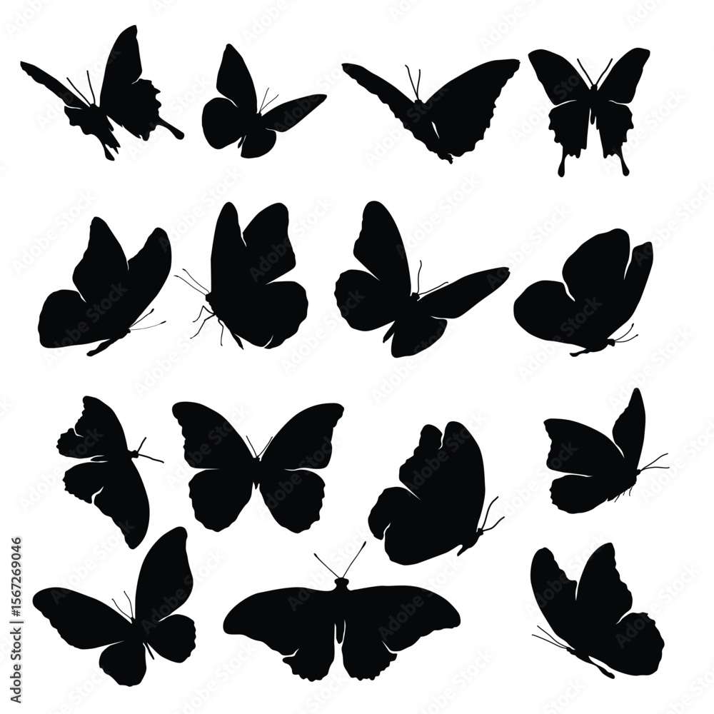Poster silhouette of 14 butterflies in various poses arranged in four rows on a white background