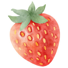 Strawberry Watercolor-2