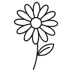  black and white daisy flower isolated