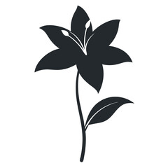 black and white flower