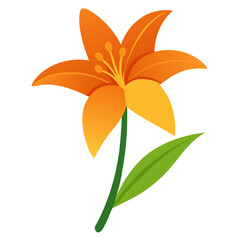 daylily flower isolated on white