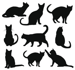 Silhouetted cats in various poses against a blank background